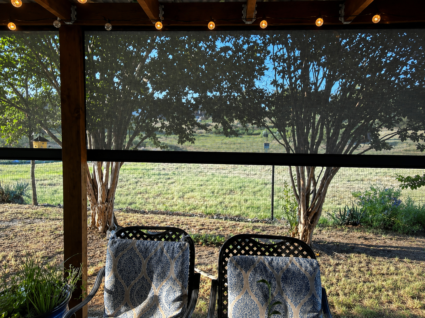 The Patio — photo 6