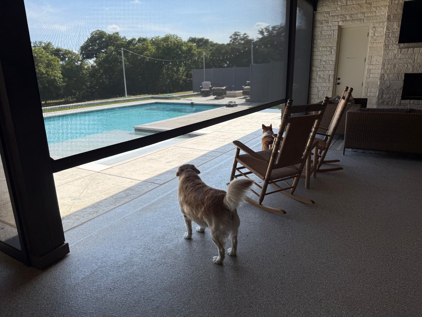 A covered patio with rocking chairs, a dog looking out through retractable screens, and a view of the pool and open landscape beyond.